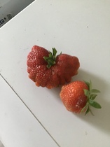 User post image