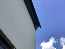 User post image
