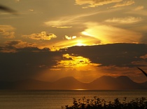User post image