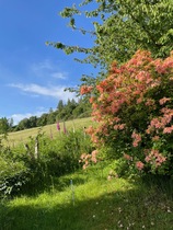 User post image
