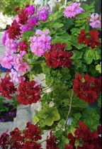User post image