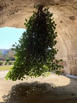 User post image