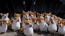 User post image