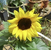 User post image
