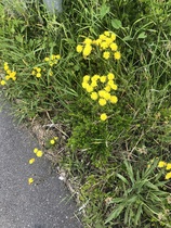 User post image