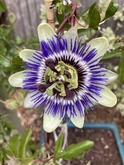 User post image