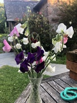 User post image