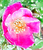 User post image