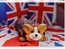 User post image
