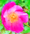 User post image