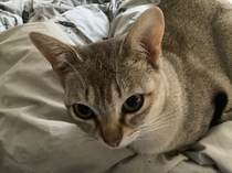 User post image