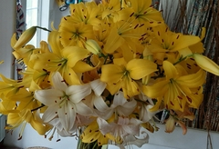 User post image