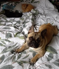 User post image