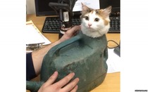 User post image