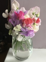 User post image