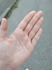 User post image