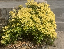 User post image