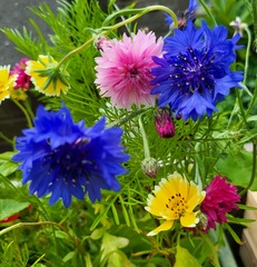 User post image