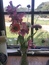 User post image