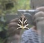 User post image