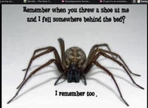 User post image