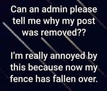 User post image