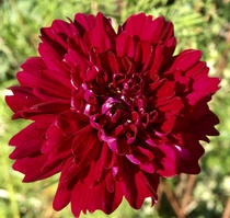 User post image