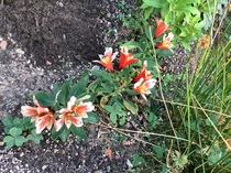 User post image