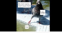 User post image