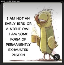 User post image