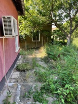 User post image
