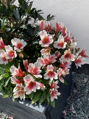 User post image