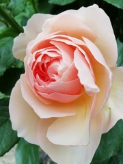User post image