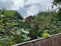 User post image