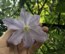 User post image