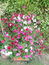 User post image