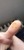 User post image
