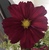 User post image