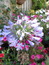 User post image