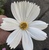 User post image