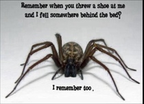 User post image
