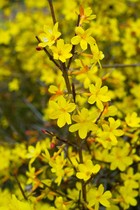User post image