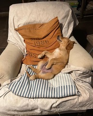 User post image