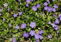 User post image