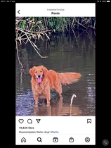 User post image