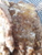 User post image