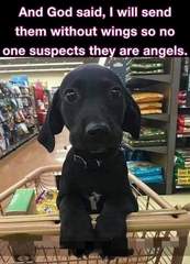 User post image
