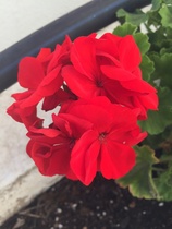 User post image