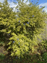 User post image