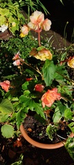 User post image